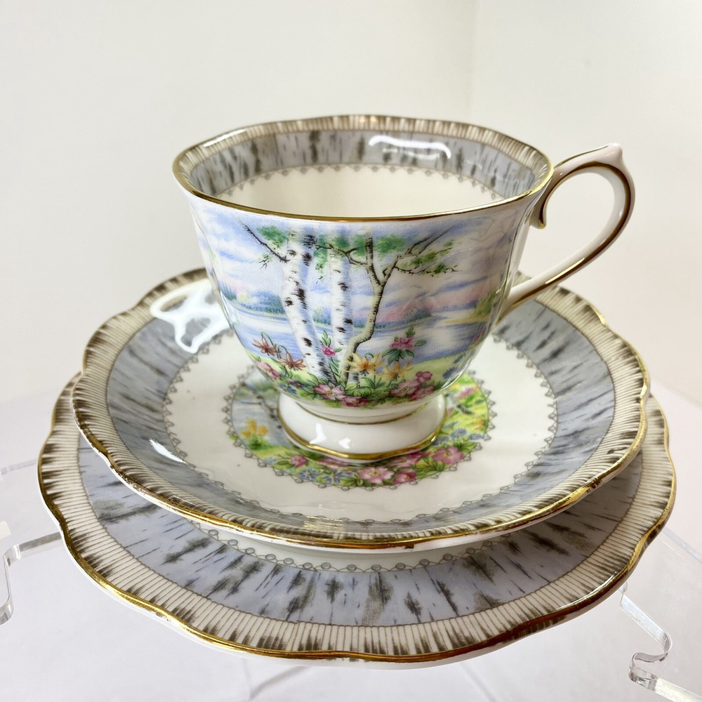 Royal Albert Silver Birch Bone China Tea Cup & Saucer Dessert Set England